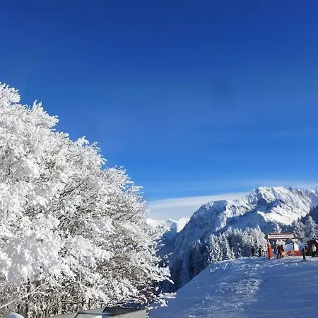L'ecrin De Bois Alpesi faház