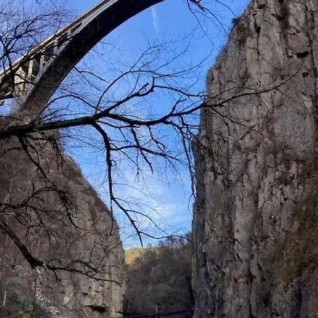 L'ecrin De Bois *